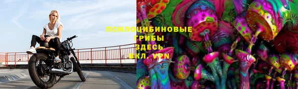 прущая мука Белоозёрский