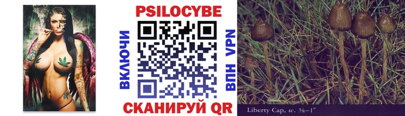 купить   Горно-Алтайск  Галлюциногенные грибы прущие грибы 