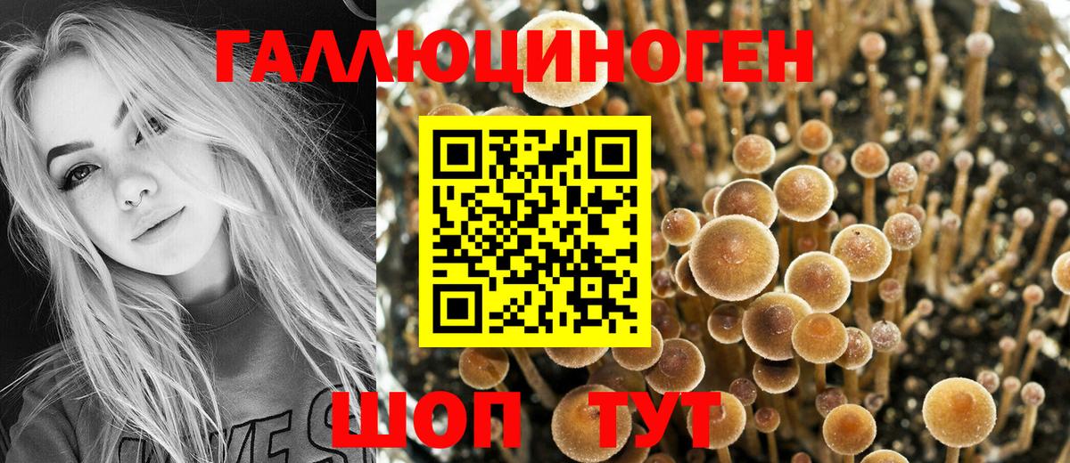 Канабис  Alpha PVP  Мефедрон  Вход с VPN  Марки  Канабис  Горно-Алтайск  LSD-25  ГАШ  КОКАИН 
