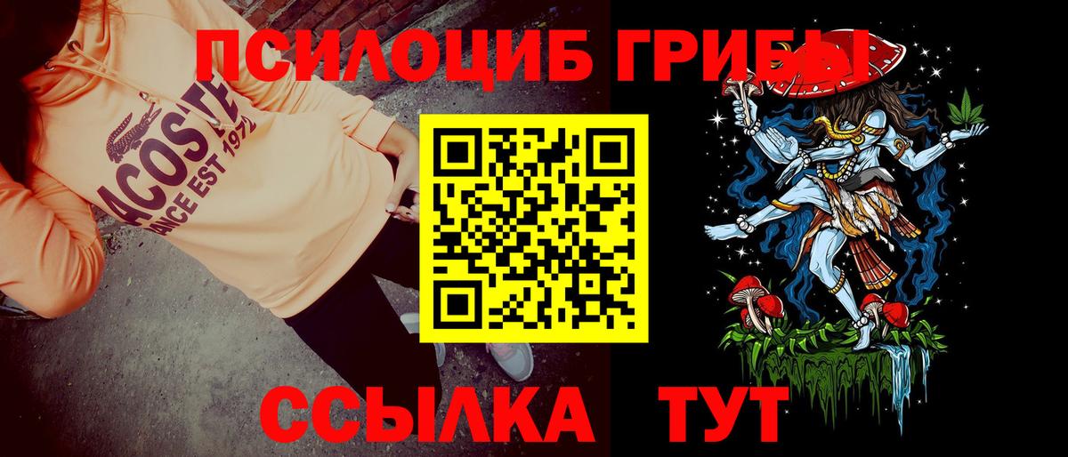 Галлюциногенные грибы GOLDEN TEACHER Горно-Алтайск